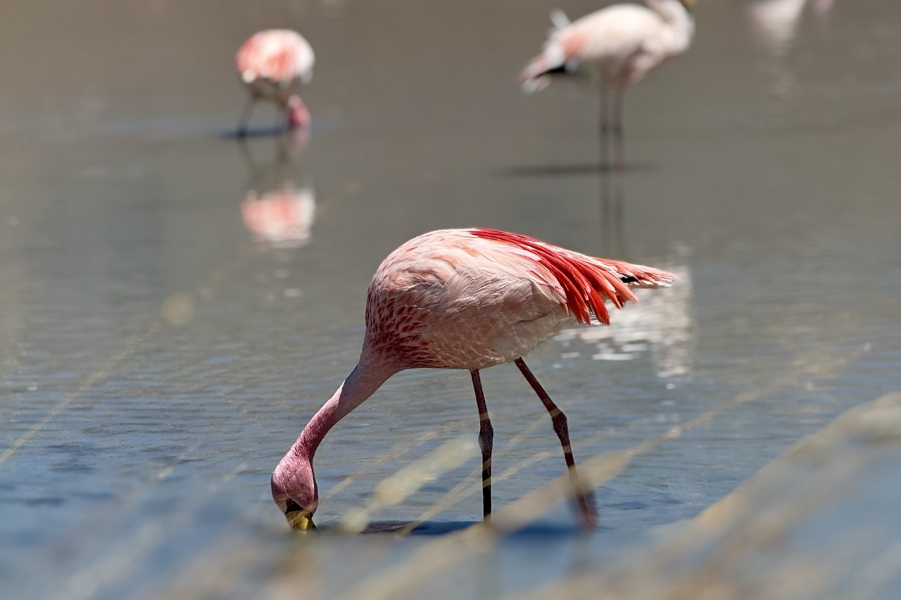 Windows Assembly Code Word Cloud